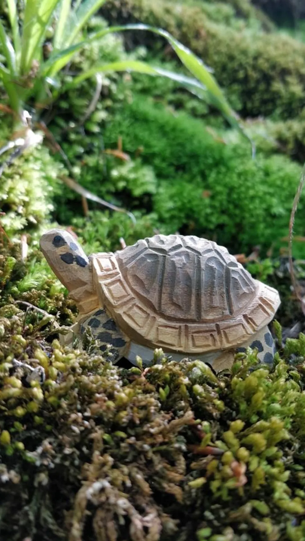 Wudimals Bosdieren|Reptielen^Schildpad 40704