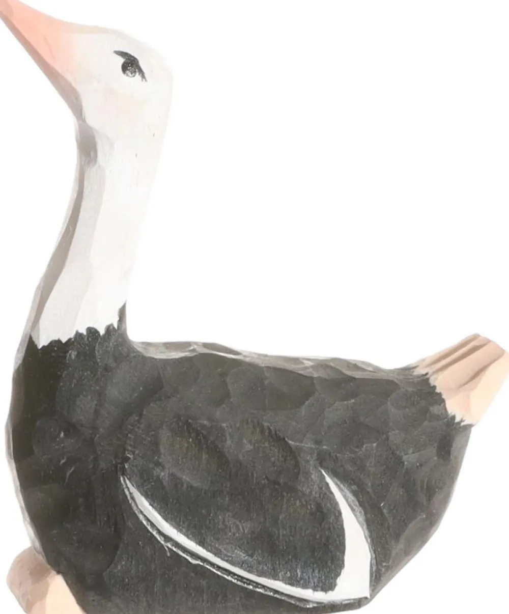 Wudimals Vogels|Vogels^Struisvogel 41000