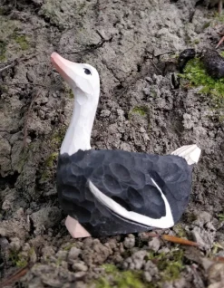 Wudimals Vogels|Vogels^Struisvogel 41000