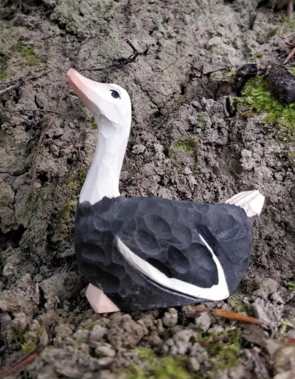 Wudimals Vogels|Vogels^Struisvogel 41000