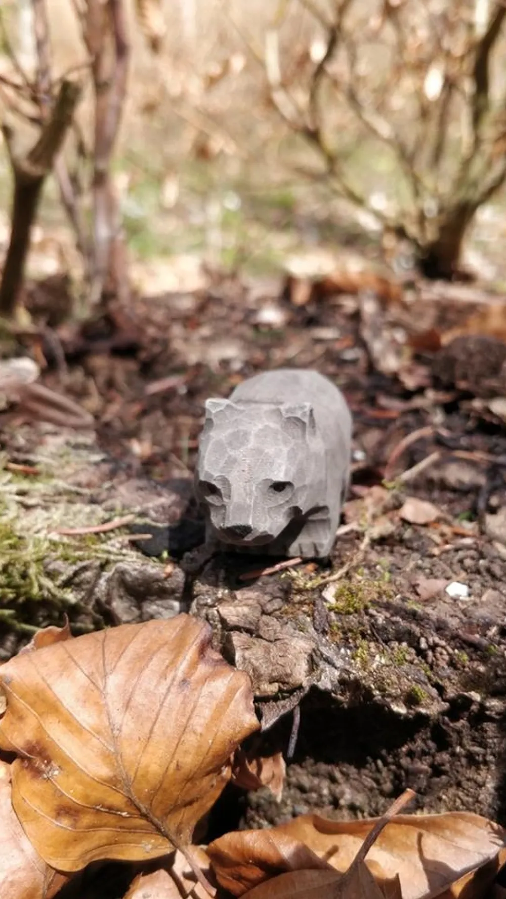 Wudimals Bosdieren|Buideldieren^Wombat 40710